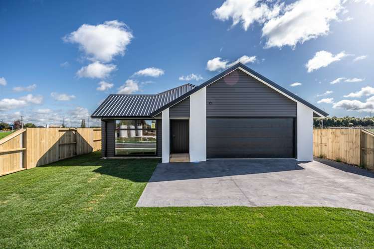 9 One Haruru Street Cambridge_17