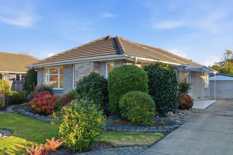 15 Palmside Street Somerfield_24