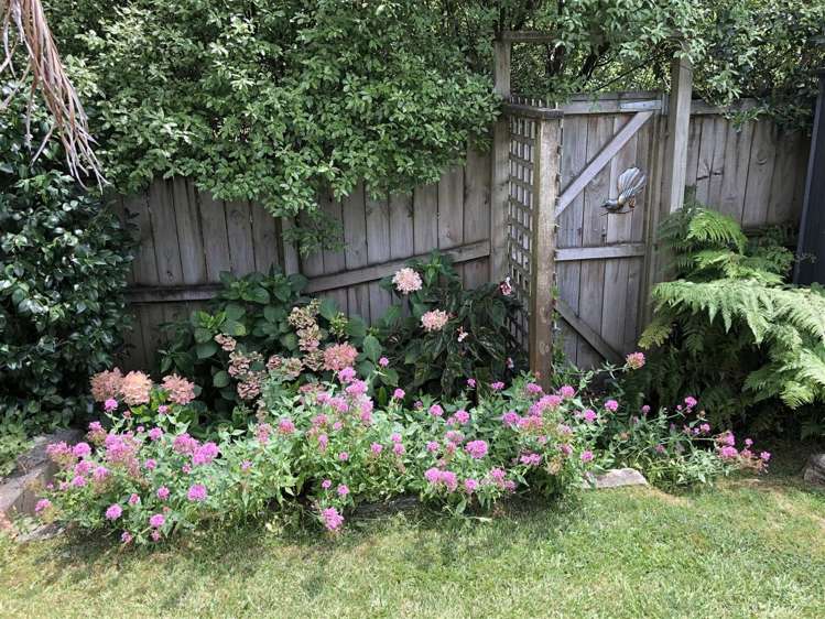 6a Tipene Place Meadowbank_13