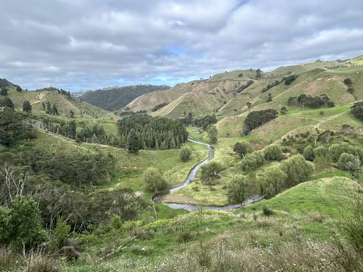 501 Kihi Road Otorohanga_21