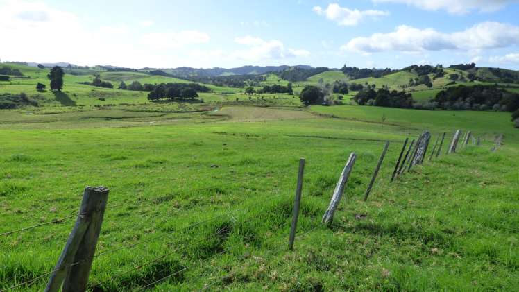 336 Old Bay Road Pakaraka_7