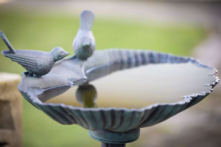 23 Morgan Avenue Marewa_14