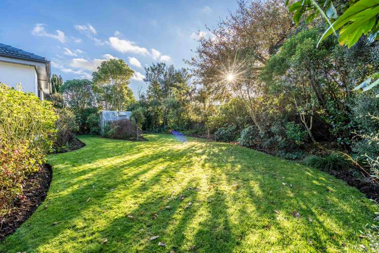 306 Herbert Street Windsor_23