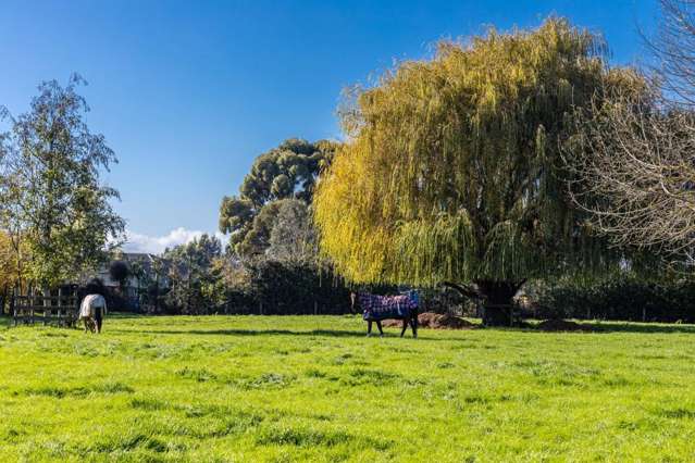 2d Ferry Road Spring Creek_4