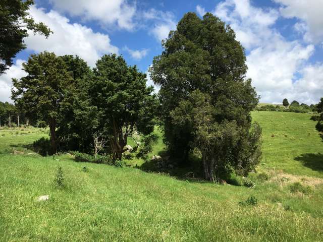 Whakataha Road Waimate North_4