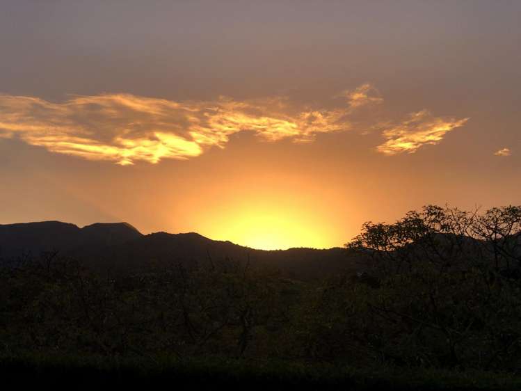 228A Lockington Road Katikati_21