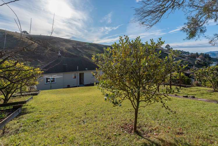 111 Emano Street Toi Toi_13