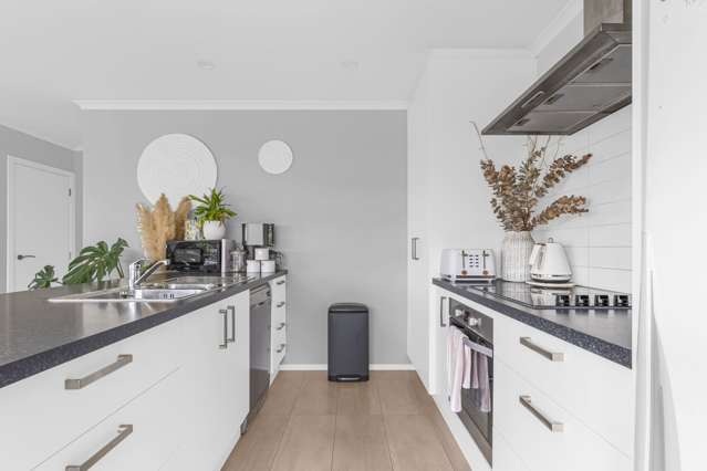 45 Exeter Street Stoke_4