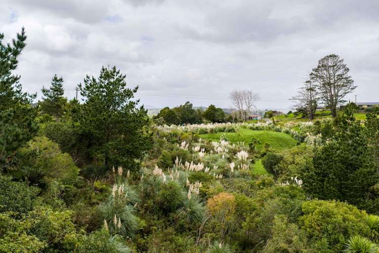 3044 Paparoa-Oakleigh Road, Paparoa Paparoa_28