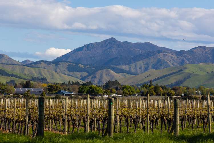 33 Bary Street Springlands_26