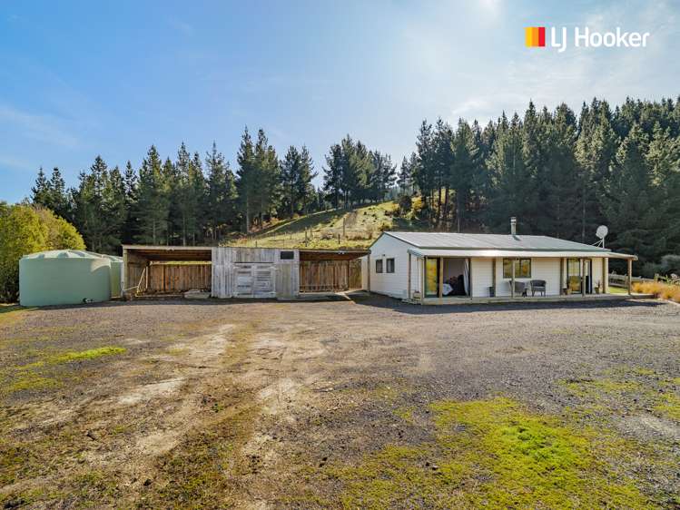 236 Waipori Falls Road Berwick_18