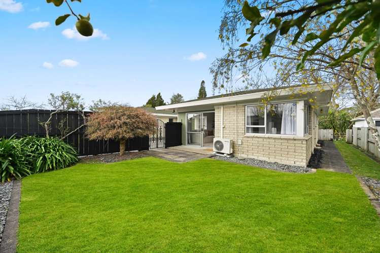 49a Rimu Street Maeroa_15