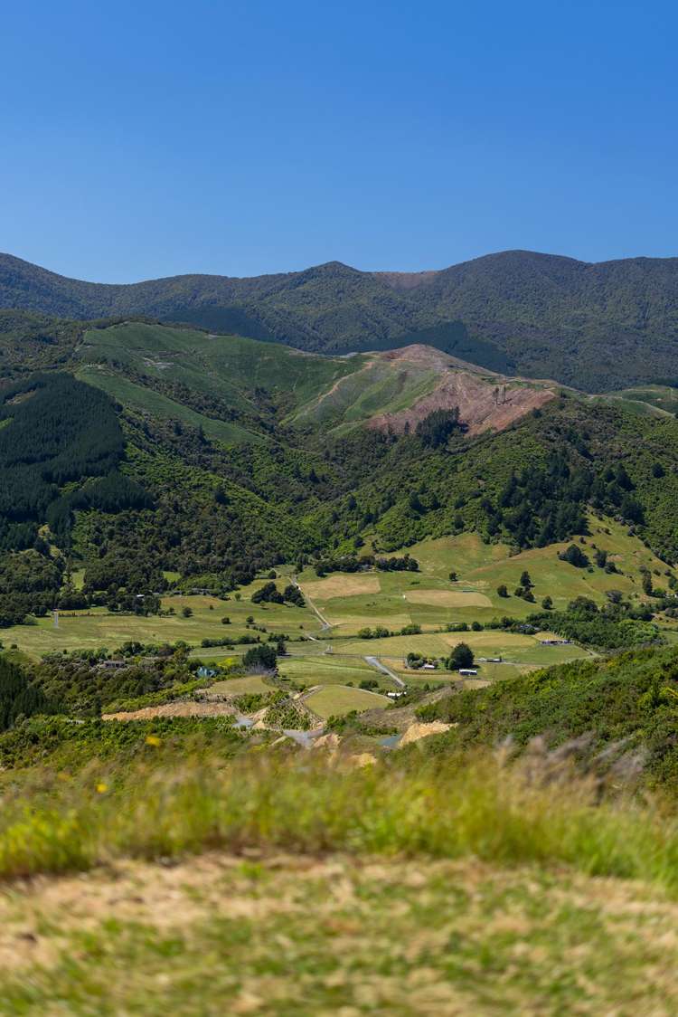 Cable Bay Road Hira_15