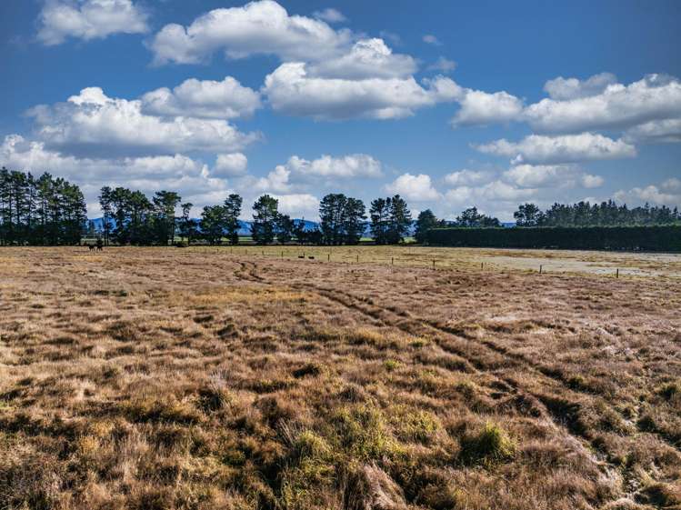 2724 South Eyre Road West Eyreton_7