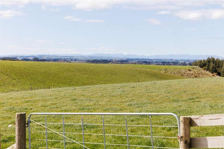 73 Brightwell Road Bulls_3