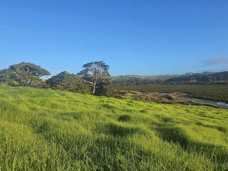 47 Matahehe Lane Tinopai_8