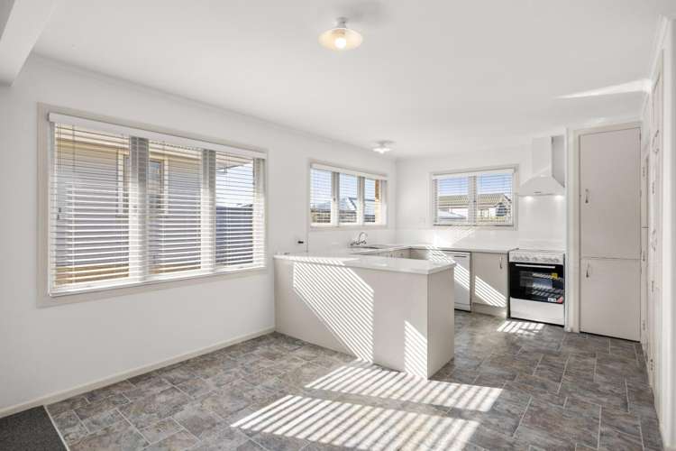 44 Hynds Road Greerton_5