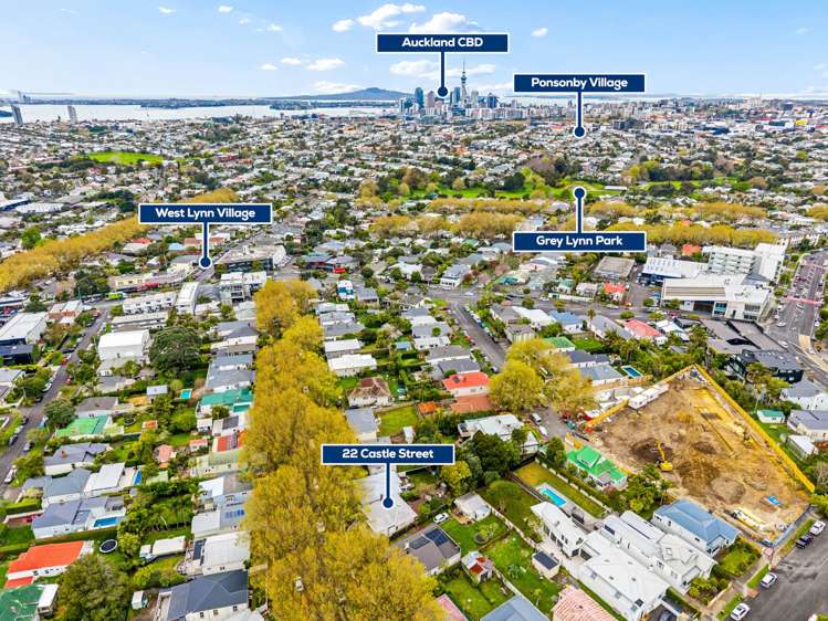 22 Castle Street Grey Lynn_15