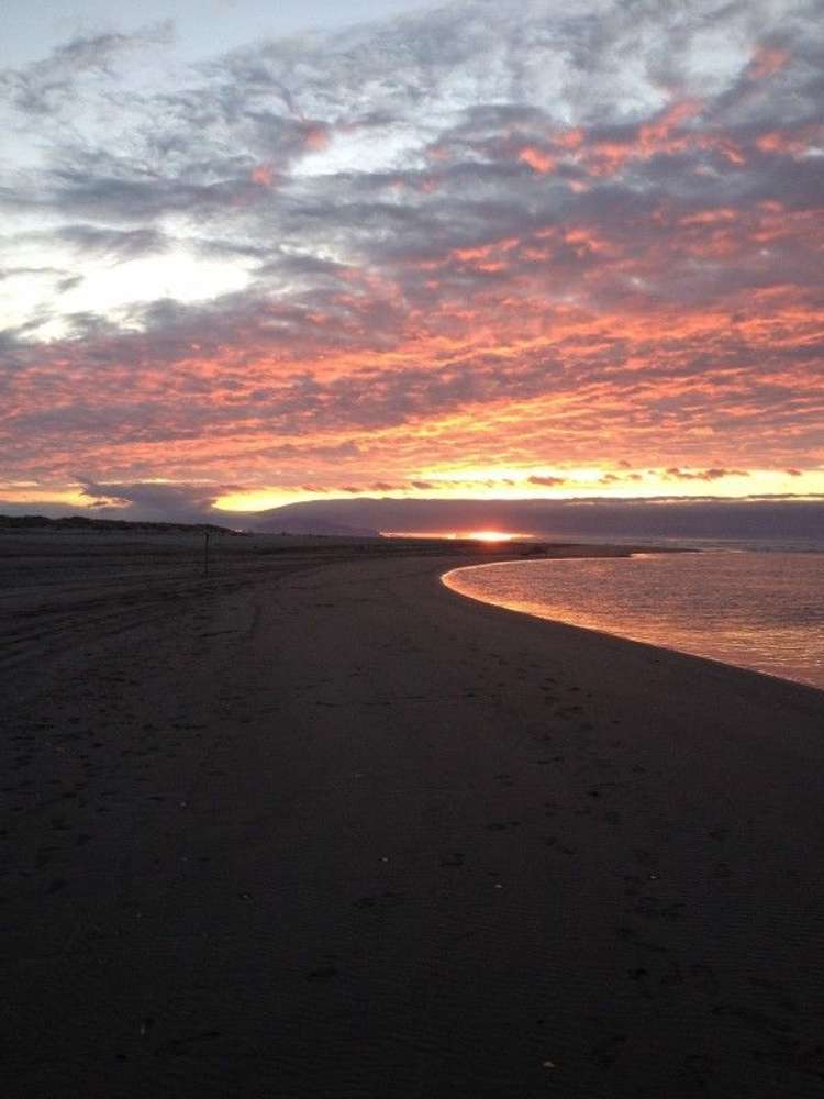 14 Drake Street Waikawa Beach_18