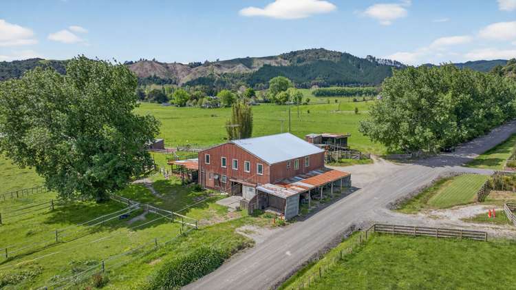 54 Edgerley Road Kaipara Flats_10