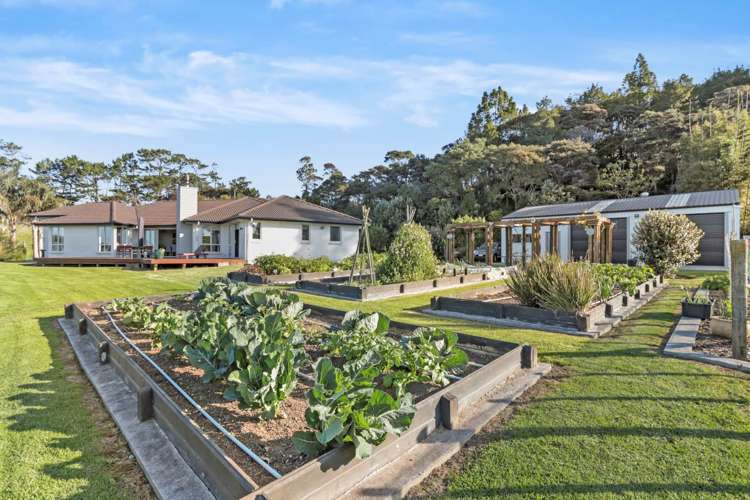 319a Wishart Road Helensville_1