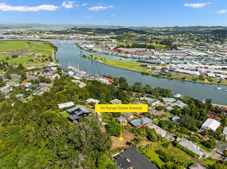 34 Punga Grove Avenue_0