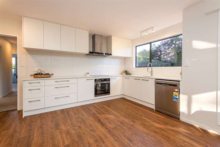 12 Godfrey Place Ilam_9