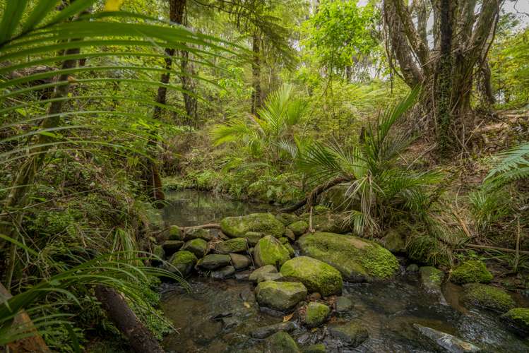 7 Tironui Place Whitianga_9