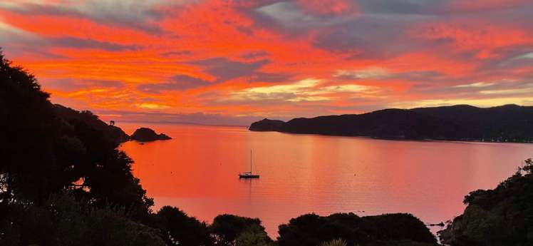 152 Shoal Bay Road Great Barrier Island_11