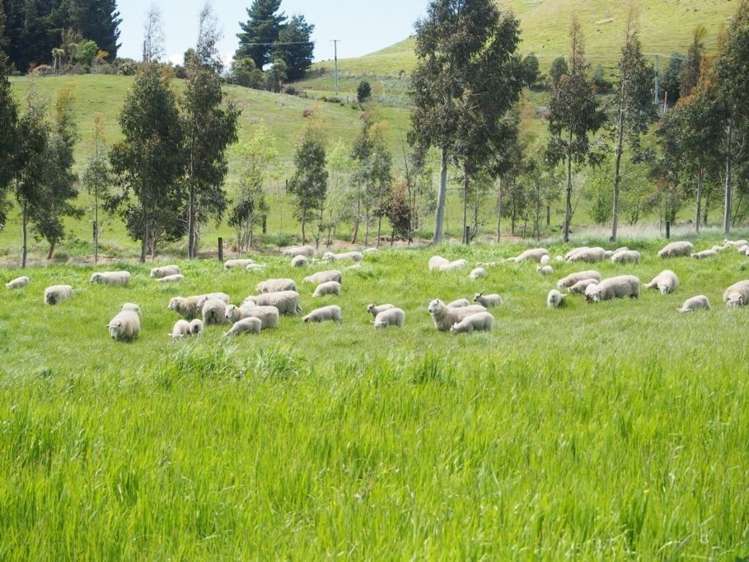 24 Windwhistle Road Windwhistle_17