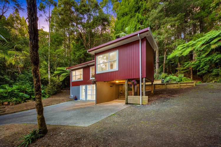12 Kauri Loop Road Oratia_20
