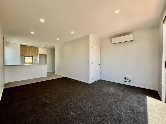 1/15 Plunket Street Spreydon_4