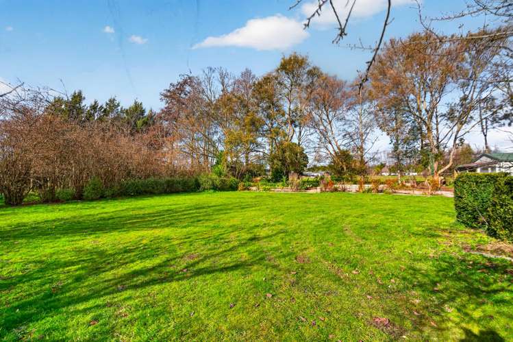 41 Millard Avenue Kuripuni_25