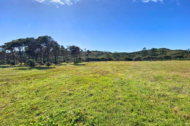 Lot 3/161 Wharariki Road_0