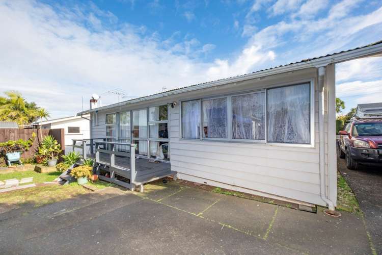 11 Jubilee Avenue Onehunga_5
