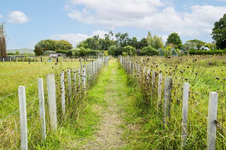 1290 Matawai Road Ormond_18