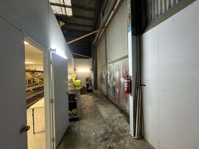 62 Austin Street Onekawa_4