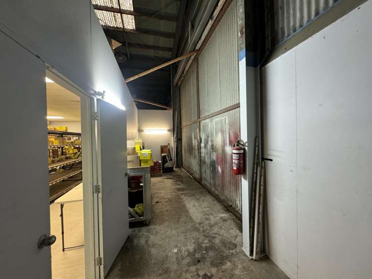 62 Austin Street Onekawa_4