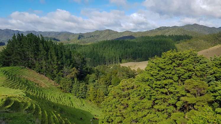 3211 Russell Road Whangaruru_7