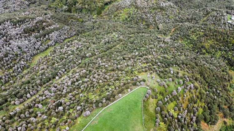 177A Moir Hill Road Puhoi_8