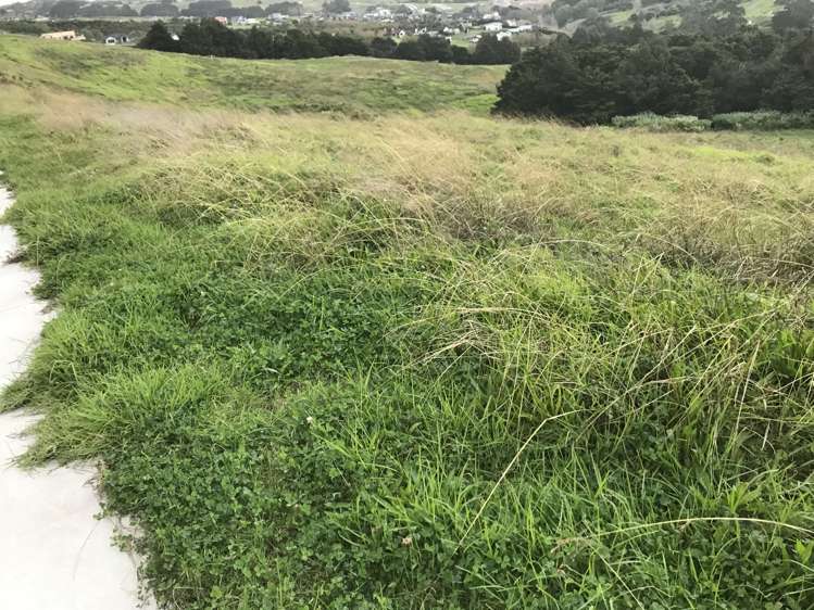 9 Kitenga Road Flat Bush_6