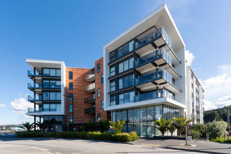 220/3 Kaipiho Lane Albany_10