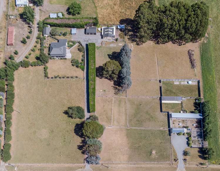 210 Terrace Road Leithfield_13