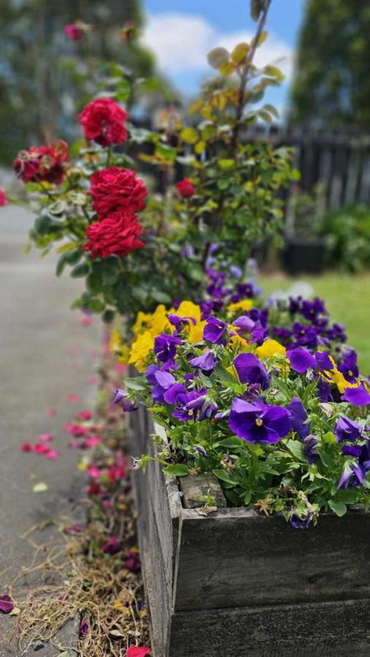 67 Mangakahia Road Kaikohe_6