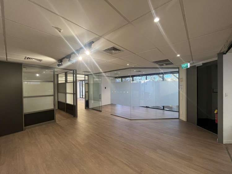 5 Wilkins Street Freemans Bay_2