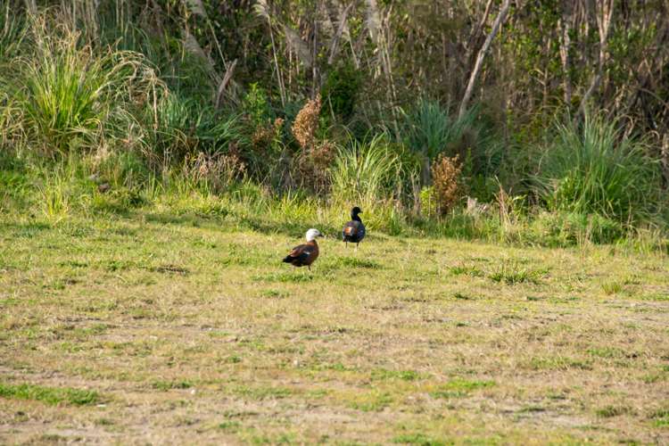 Lot 9,/220 Tuhirangi Road Makarau_11