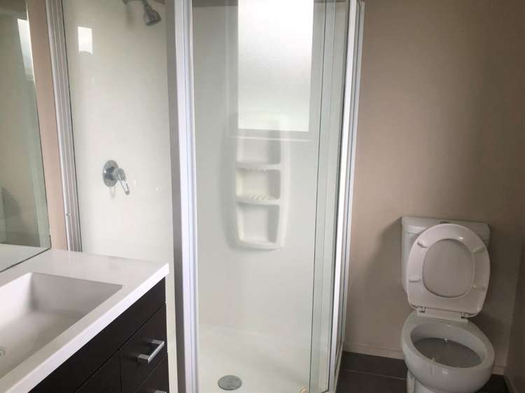 7 Willis Place Renwick_5