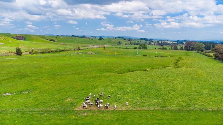 87 Otanga Road Dannevirke_21