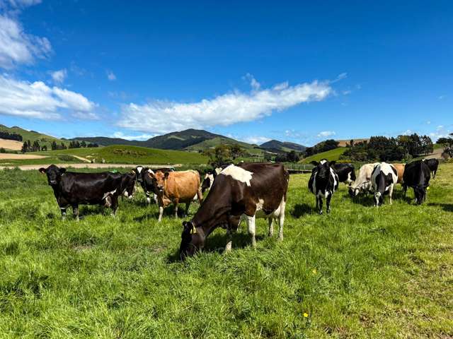 1024 Owaka Valley Road Owaka_3