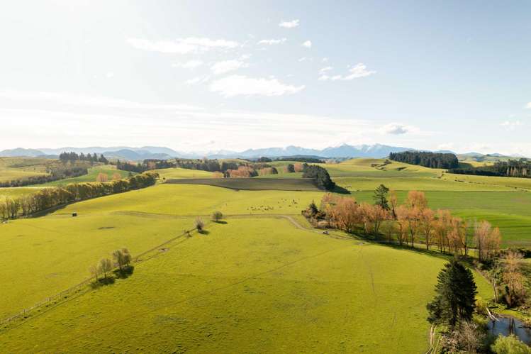 Rowallan Road Darfield_10